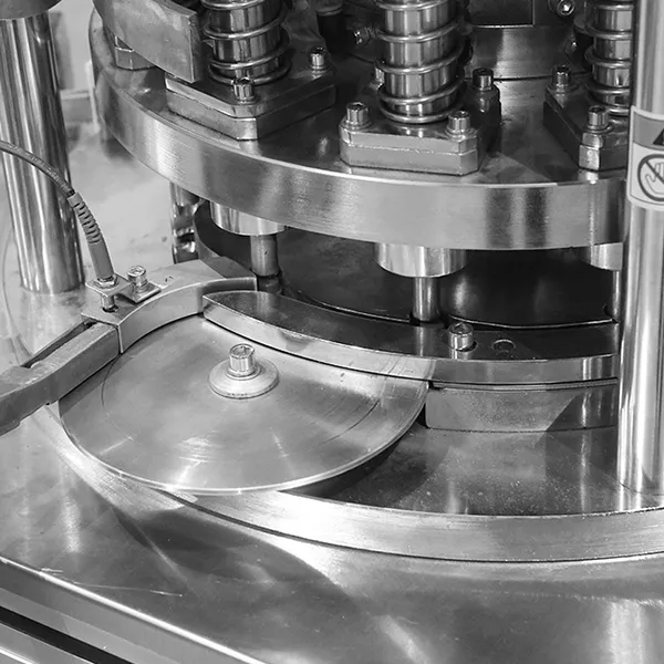 Cap and Stopper Assembly Machine